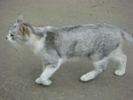 Photos