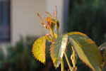 2010-06-03_22-40-18_DSC_8460.jpg