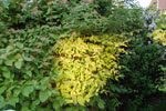 2010-06-03_22-40-33_DSC_8461.jpg