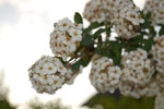 2010-06-03_22-41-14_DSC_8465.jpg