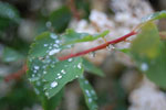 2010-06-03_22-41-38_DSC_8470.jpg