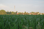 2010-06-03_22-42-49_DSC_8480.jpg