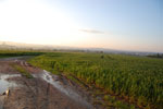 2010-06-03_22-44-58_DSC_8486.jpg