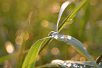 2010-06-03_22-48-50_DSC_8532.jpg