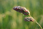 2010-06-03_22-49-28_DSC_8540.jpg