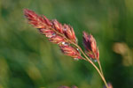2010-06-03_22-49-42_DSC_8544.jpg