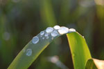 2010-06-03_22-51-34_DSC_8577.jpg