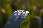 2010-06-03_22-52-09_DSC_8591.jpg