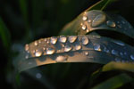2010-06-03_22-54-12_DSC_8620.jpg