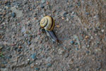 2010-06-03_22-55-31_DSC_8627.jpg