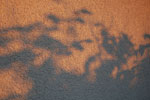 2010-06-03_22-57-03_DSC_8631.jpg