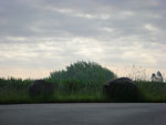 2010-06-04_07-28-08_CIMG0460.jpg