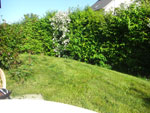 2010-06-04_17-45-23_CIMG0464.jpg