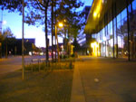 2010-06-05_04-15-37_CIMG0473.jpg