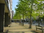 2010-06-07_19-23-16_CIMG0510.jpg
