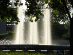 2010-06-07_19-24-30_CIMG0511.jpg