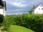 2010-06-09_16-52-23_CIMG0528.jpg