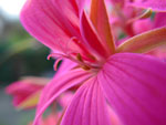 2010-06-12_05-29-30_IMGP0021.jpg