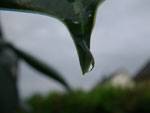 2010-06-12_17-49-55_IMGP0056.jpg