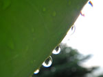 2010-06-12_17-50-30_IMGP0062.jpg