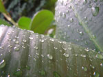 2010-06-12_17-51-02_IMGP0066.jpg