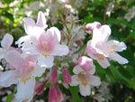 2010-06-13_15-15-29_IMGP0133.jpg