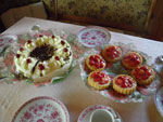 Photos