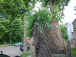 2010-06-13_18-13-01_IMGP0161.jpg