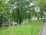 2010-06-14_11-48-23_IMGP0165.jpg