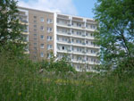2010-06-14_11-54-11_IMGP0169.jpg