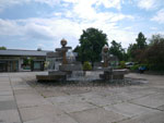 Photos