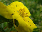 2010-06-18_19-31-16_IMGP0228.jpg
