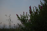 2010-06-20_21-13-34_DSC_8842.jpg