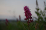 2010-06-20_21-13-48_DSC_8843.jpg