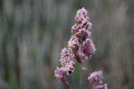 2010-06-20_21-15-48_DSC_8847.jpg