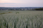 2010-06-20_21-18-35_DSC_8859.jpg
