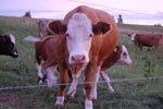 2010-06-20_21-30-24_DSC_8927.jpg