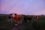 2010-06-20_21-31-22_DSC_8940.jpg