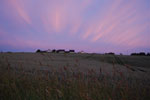 2010-06-20_21-32-46_DSC_8942.jpg