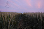 2010-06-20_21-33-33_DSC_8948.jpg