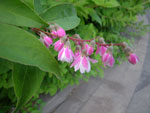 2010-06-24_16-39-48_IMGP0768.jpg
