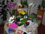 2010-06-24_21-04-33_IMGP0834.jpg