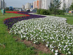 2010-06-26_09-22-14_IMGP0942.jpg