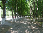 2010-06-29_14-40-09_IMGP1025.jpg