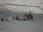 2010-06-29_21-03-59_IMGP1056.jpg