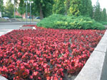 2010-07-04_19-46-27_IMGP1261.jpg
