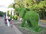 2010-07-04_19-47-44_IMGP1262.jpg