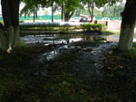 2010-07-06_13-41-52_IMGP1319.jpg
