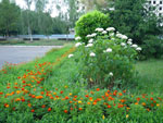 2010-07-08_21-43-54_IMGP1408.jpg