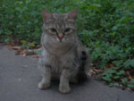 Photos